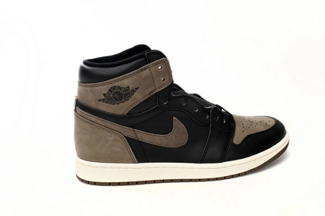 Air DZ5485-020 Jordan OG 1 High Palomino 0825